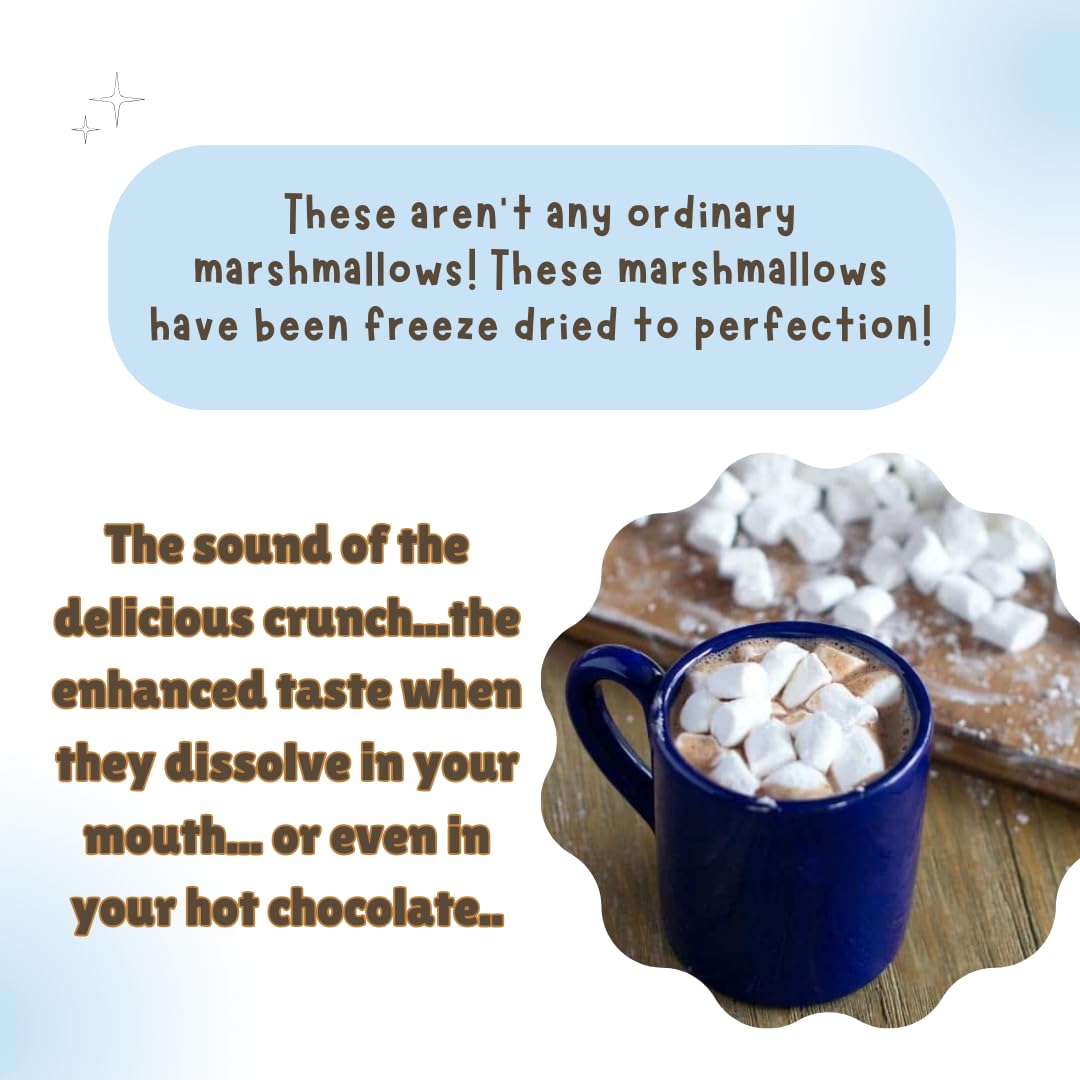 G-BOX Freeze Dried Marshmallows, Mini Caramel Marshmallows, Mini Marshmallows, Fat-free Christmas Candy, TikTok Trend Items, Perfect Halloween marshmallows(Medium, Caramel CrispyMallows)